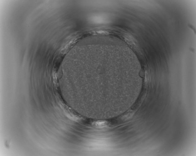X0000102530173200808291828