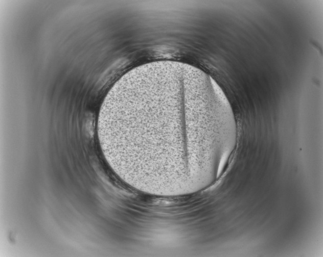 X0000102530174200808291828