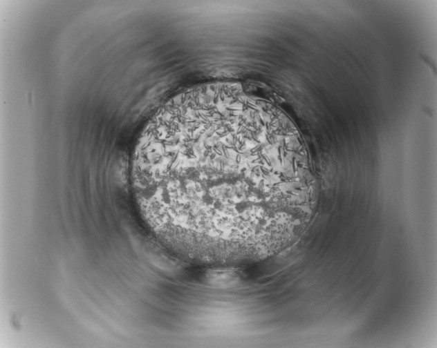 X0000102530175200808291828