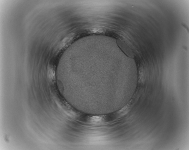 X0000102530176200808291828