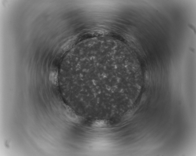 X0000102530177200808291828