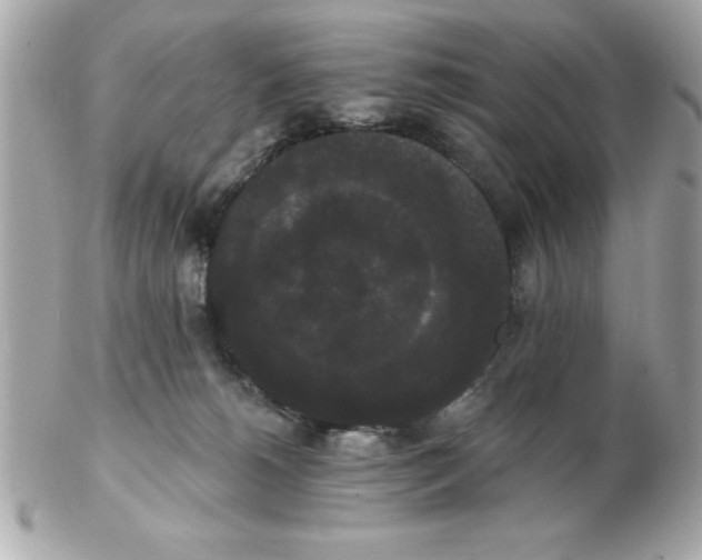 X0000102530180200808291828
