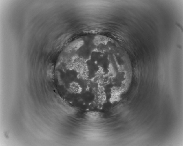 X0000102530181200808291828