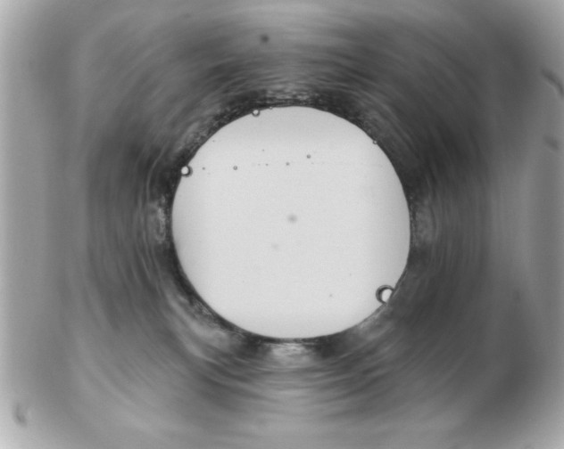 X0000102530183200808291828