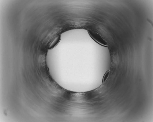X0000102530184200808291828