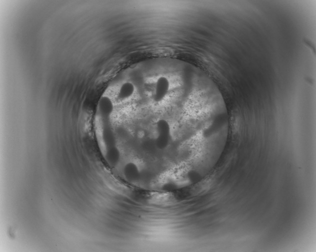 X0000102530185200808291828