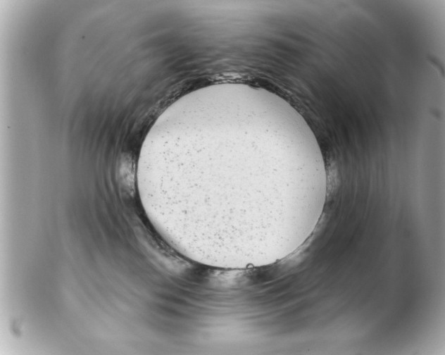 X0000102530186200808291828
