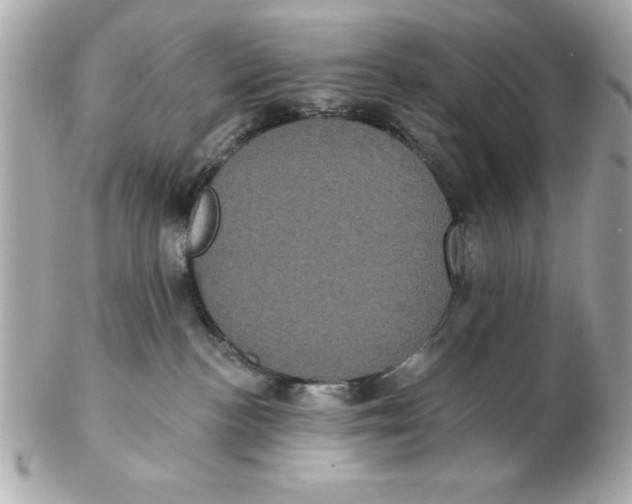 X0000102530188200808291828