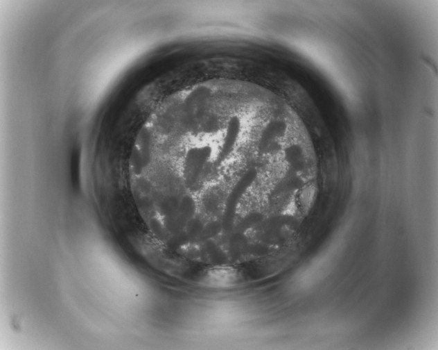 X0000102530189200808291828