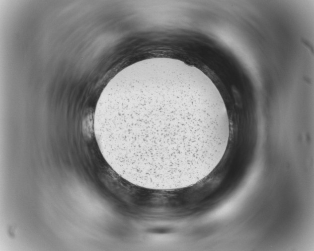 X0000102530190200808291828