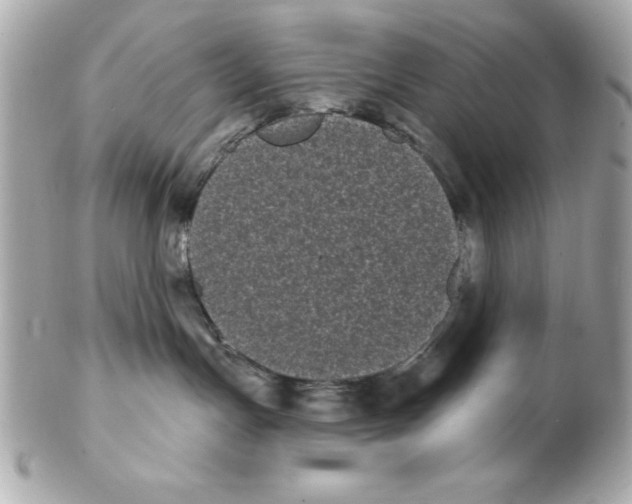 X0000102530191200808291828