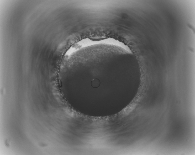 X0000102530192200808291828