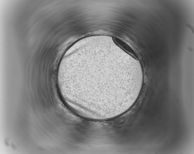 X0000102530193200808291827