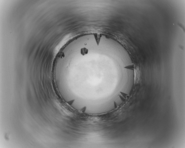 X0000102530195200808291827