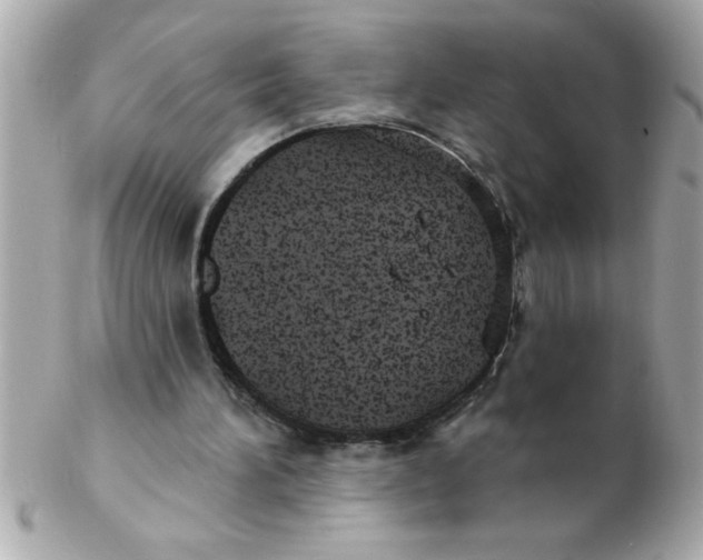 X0000102530196200808291827