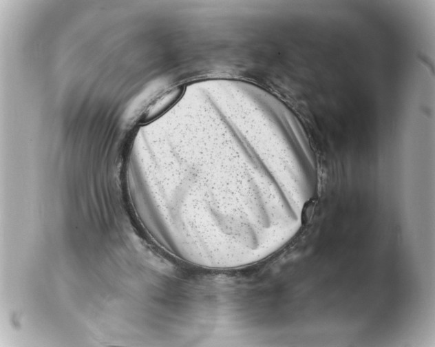 X0000102530197200808291827