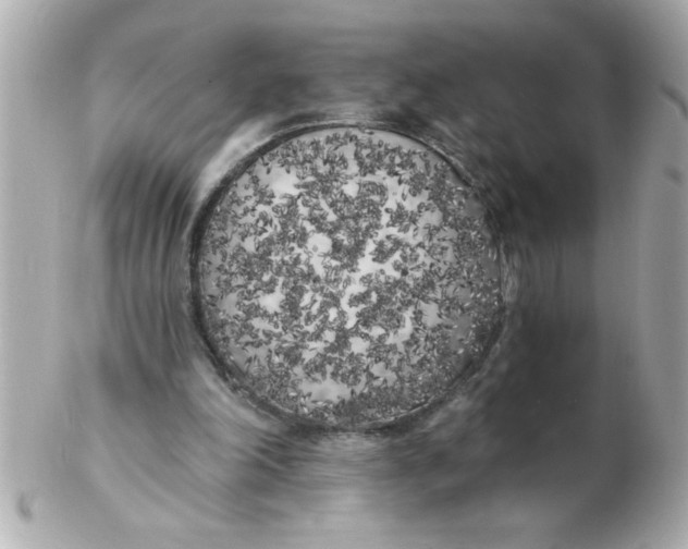 X0000102530198200808291827