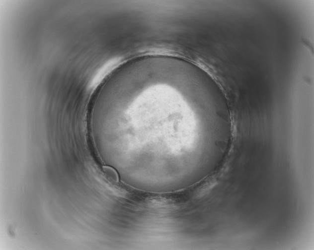 X0000102530199200808291827