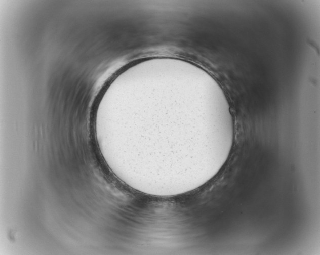 X0000102530200200808291827