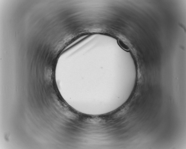 X0000102530201200808291827