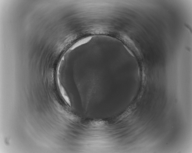 X0000102530202200808291827