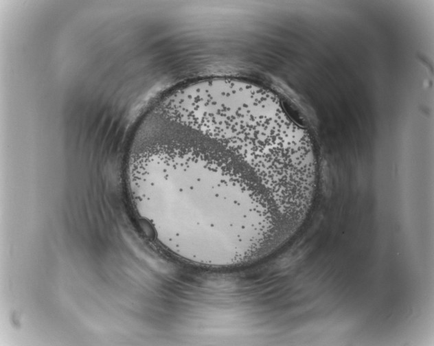 X0000102530203200808291827
