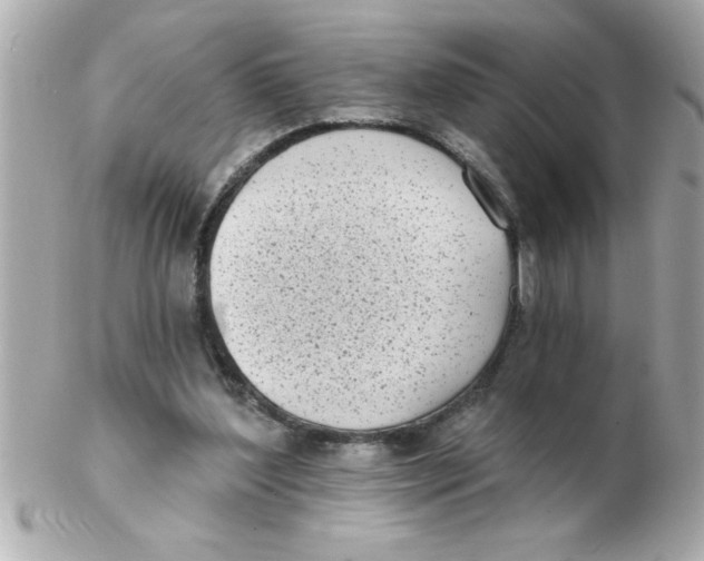 X0000102530204200808291827