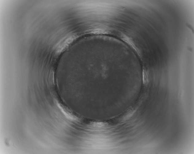 X0000102530205200808291827