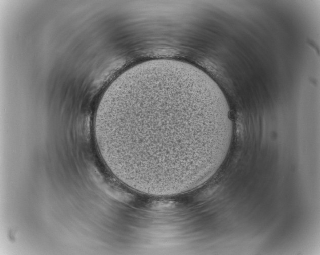X0000102530206200808291827