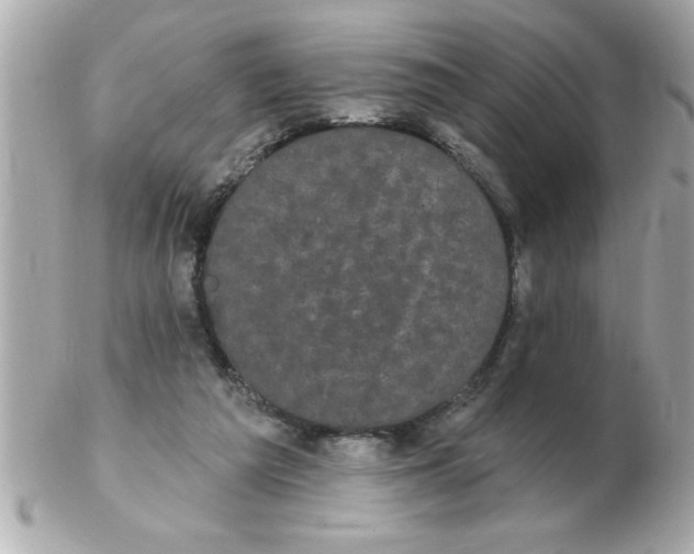 X0000102530209200808291827
