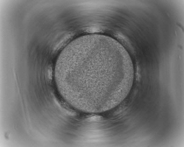 X0000102530210200808291827