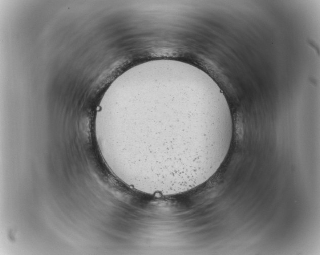 X0000102530211200808291827