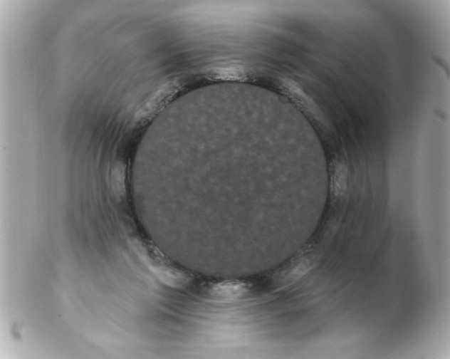 X0000102530213200808291827