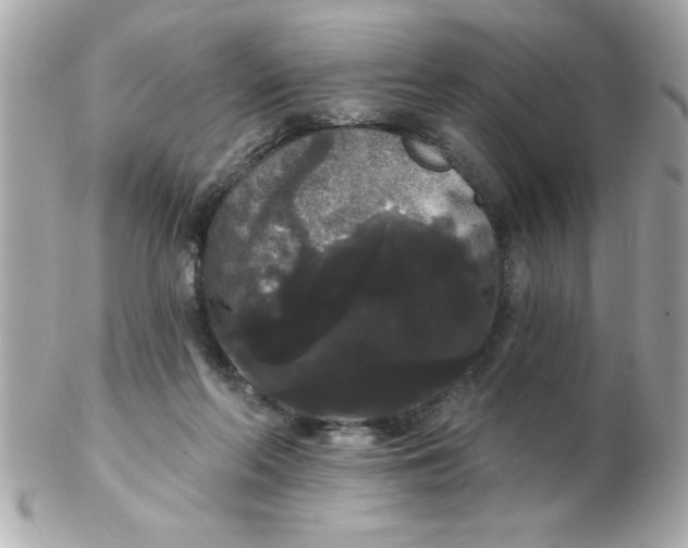 X0000102530214200808291827