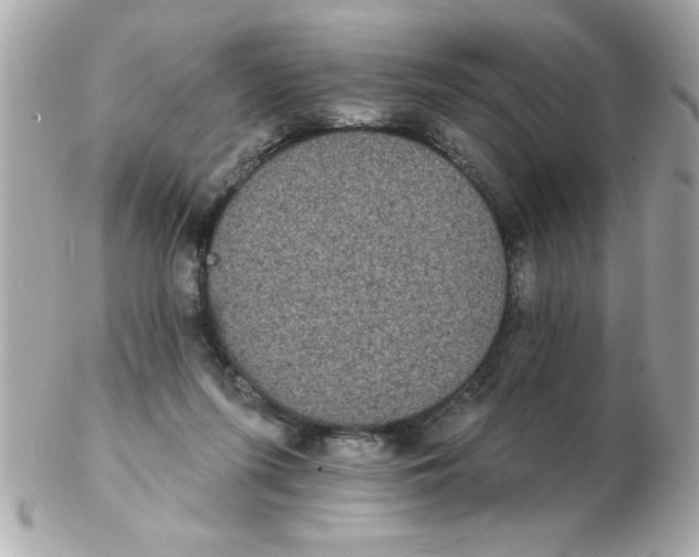X0000102530215200808291827