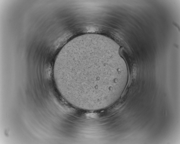 X0000102530216200808291827