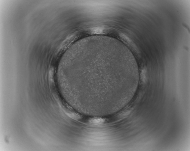 X0000102530217200808291827