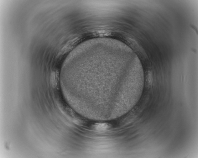 X0000102530218200808291827