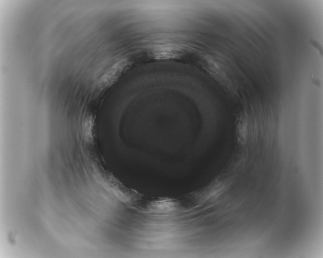 X0000102530219200808291827