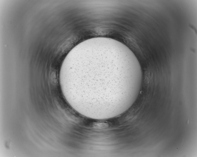 X0000102530220200808291827