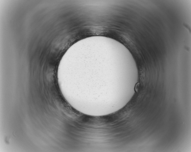 X0000102530221200808291827