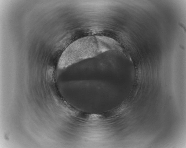 X0000102530222200808291827