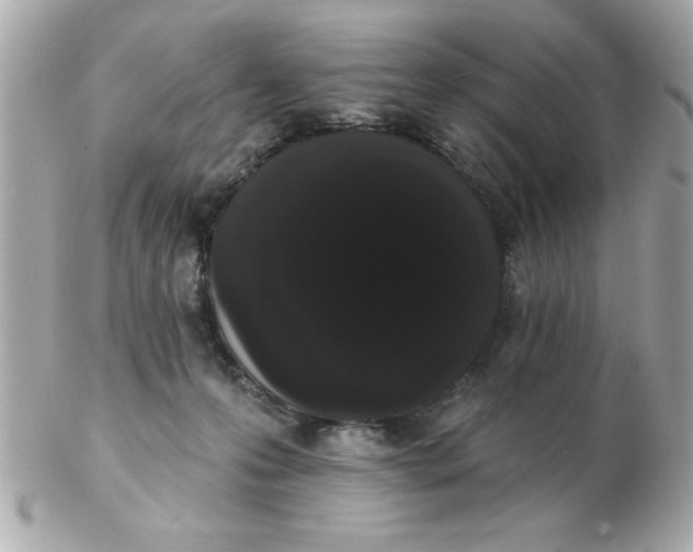 X0000102530223200808291827