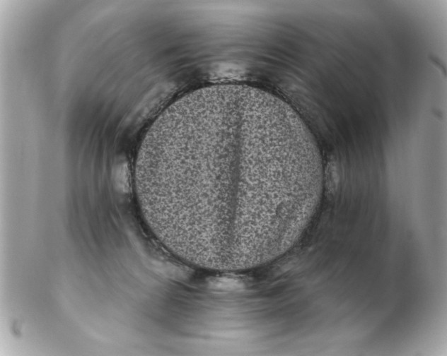 X0000102530224200808291827