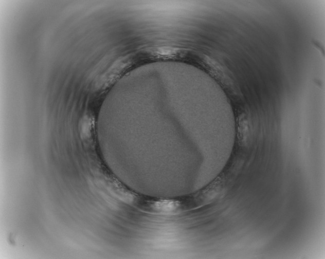 X0000102530225200808291827