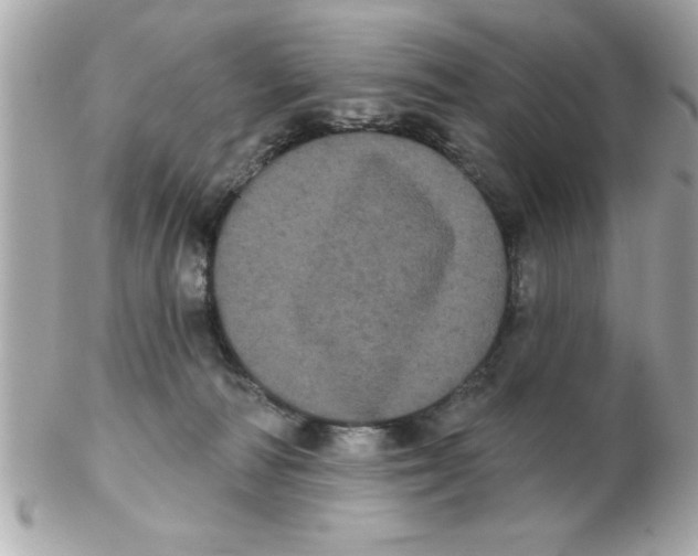 X0000102530226200808291827