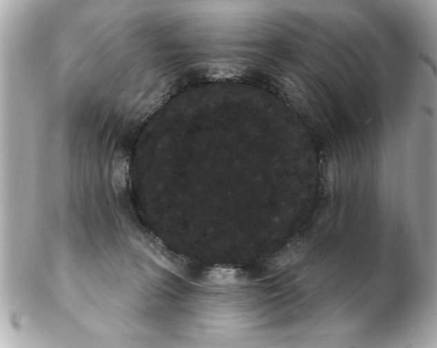 X0000102530227200808291827