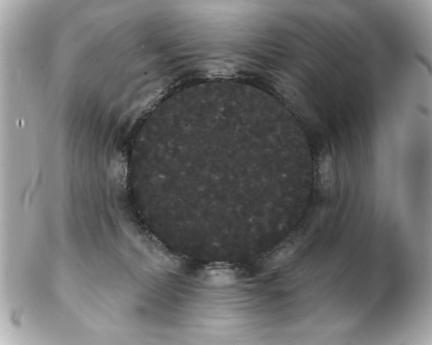 X0000102530228200808291827