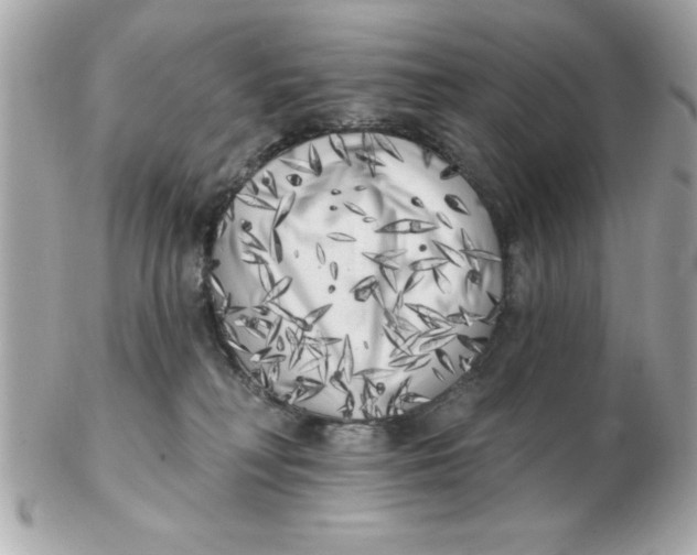 X0000102530230200808291827