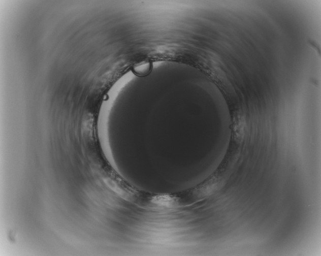 X0000102530231200808291827